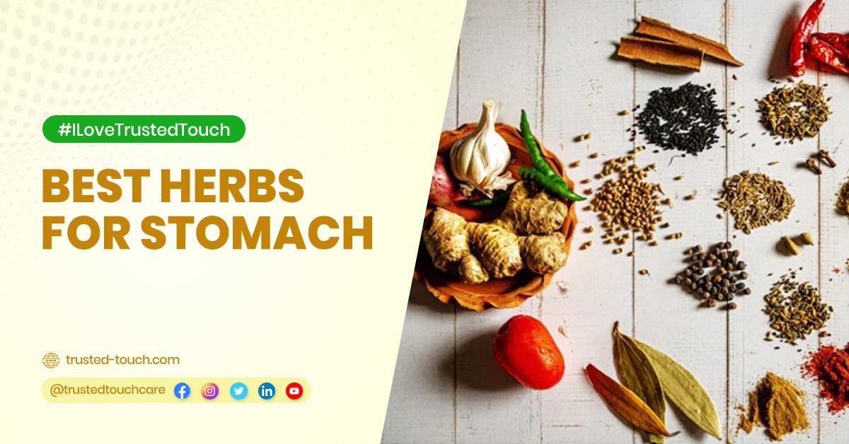 BEST HERBS FOR STOMACH Are you frequently suffer from stomach pain? Here is the best home-based remedies